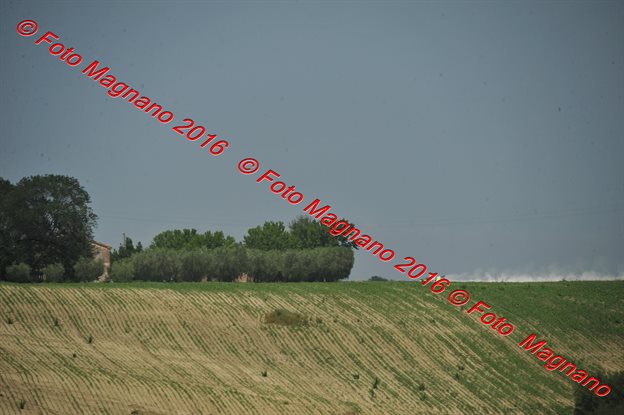 DSC_4786.JPG